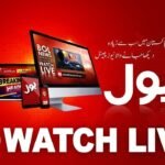 Bol news